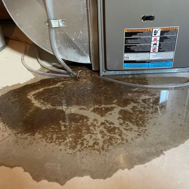 Pipe Burst and Leak Restoration in Whitley County, KY