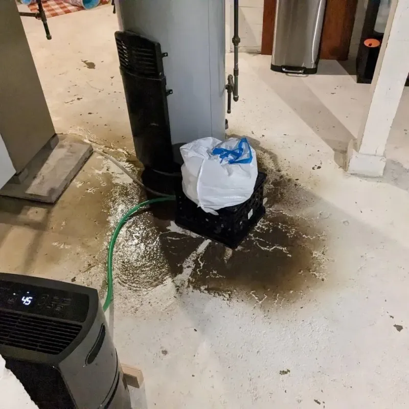 Sewage Backup Cleanup Service in Whitley County, KY